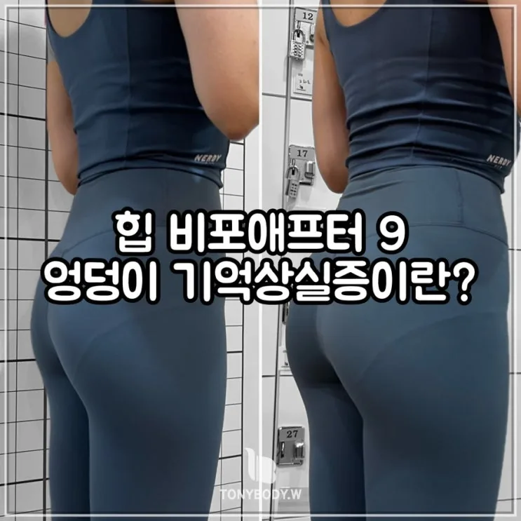 토니바디W우먼 힙 비포애프터 9탄 / 엉덩이 기억상실증!